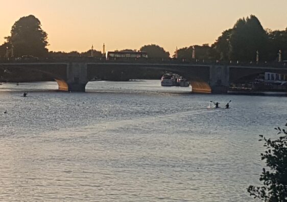 Swimming in the Thames