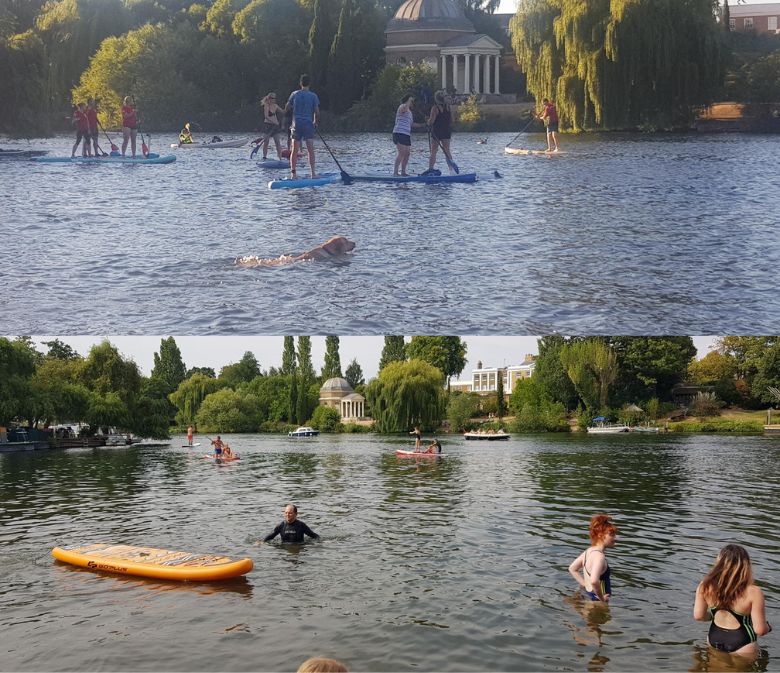 swimming in the Thames