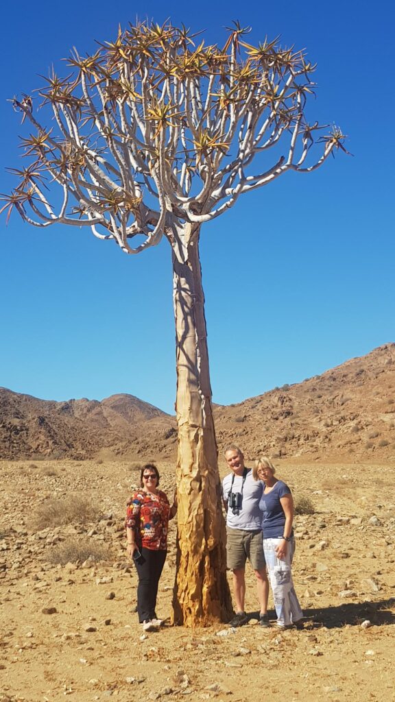 Richtersveld Quiver tree