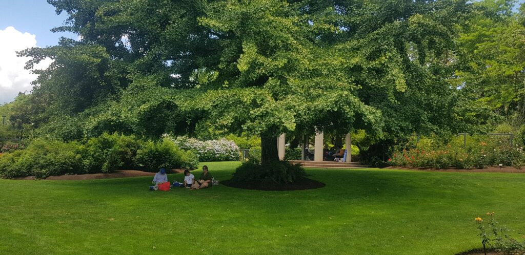 picnic in the gardens