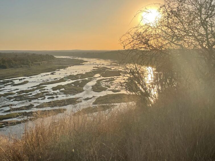 The Mighty Olifants River i the Kruger Park