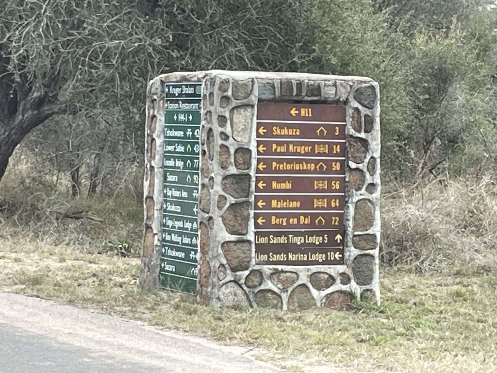 Kruger park leopard sightings