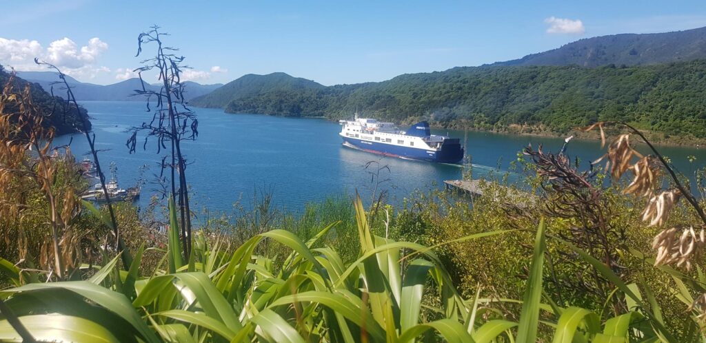 Crossing the Cook Strait by Ferry