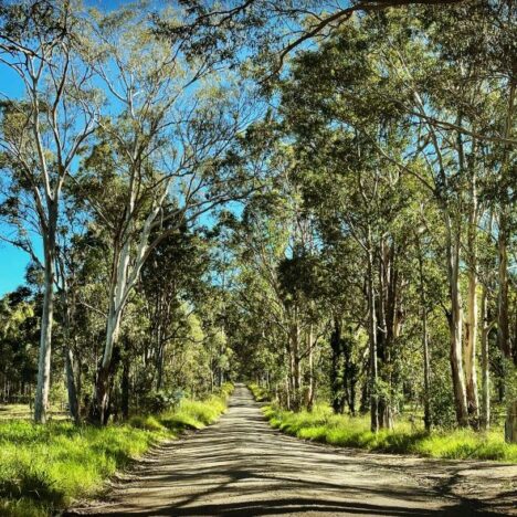 The Kruger National Park’s Crook’s Corner.