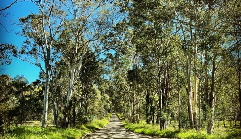 Hunter valley NSW