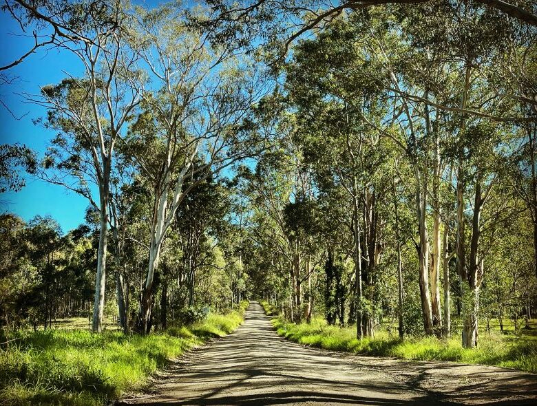 Hunter valley NSW