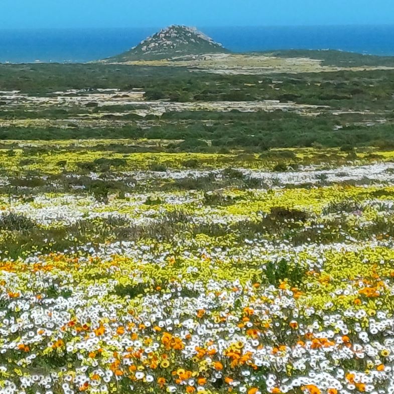 West Coast National Park